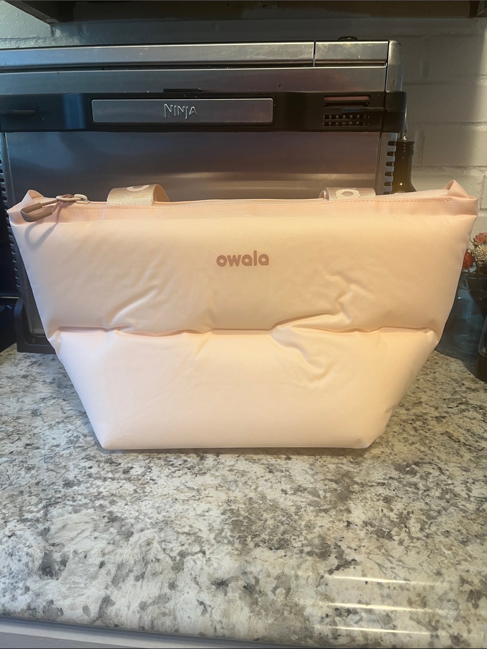 Owala Puffer mini Bag